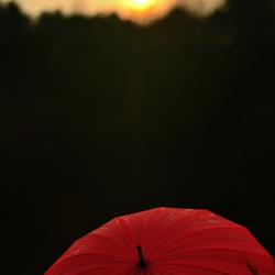 dailyPhoto6